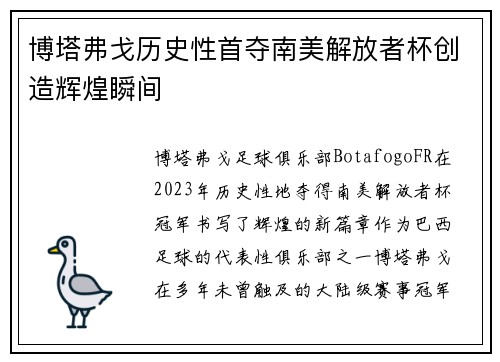 博塔弗戈历史性首夺南美解放者杯创造辉煌瞬间 博塔弗戈历史性首夺南美解放者杯创造辉煌瞬间